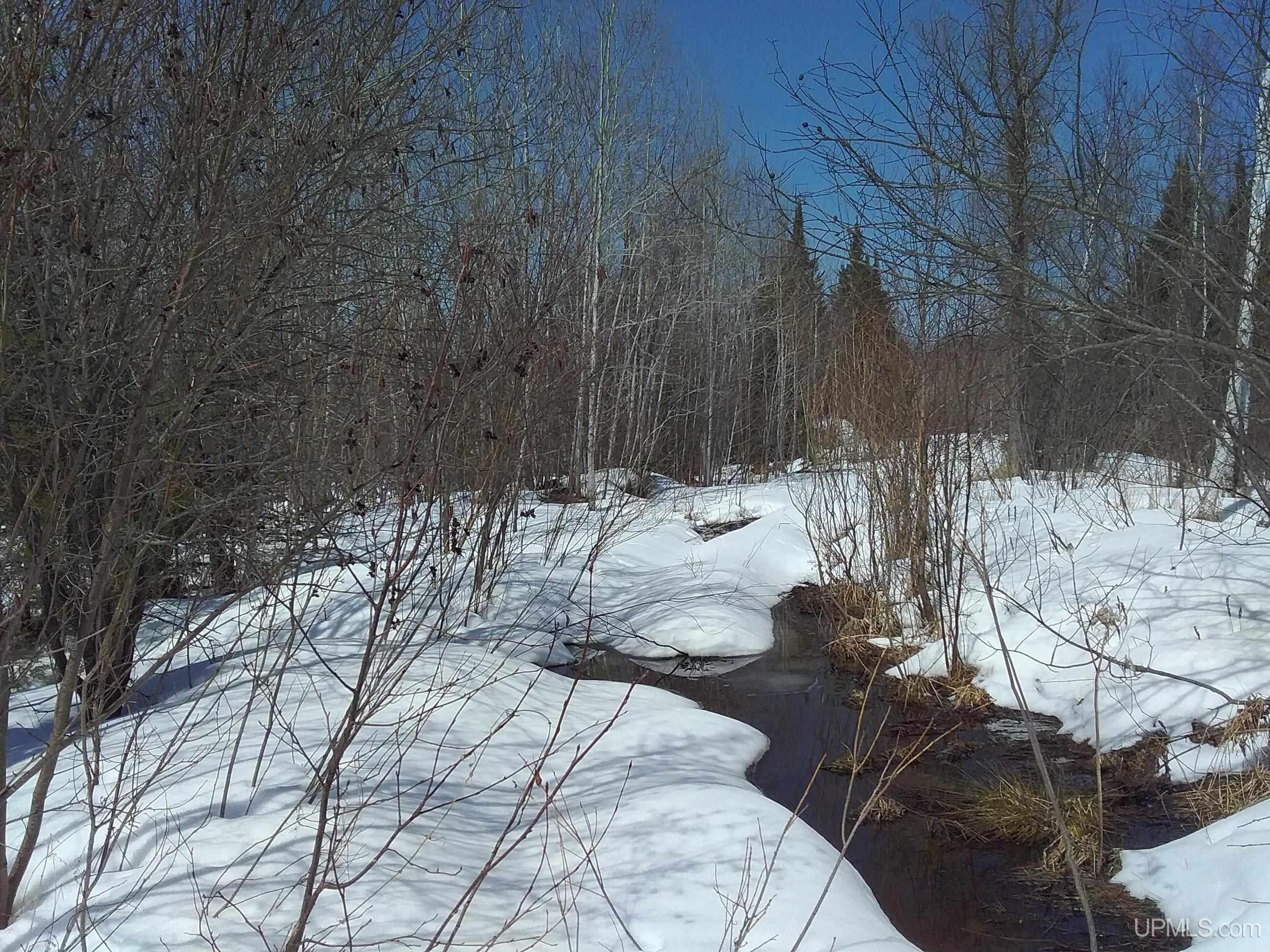 V25 Rd Trenary Mi 49891 Road Rapid River, MI 49878 - Photo 6 of 28