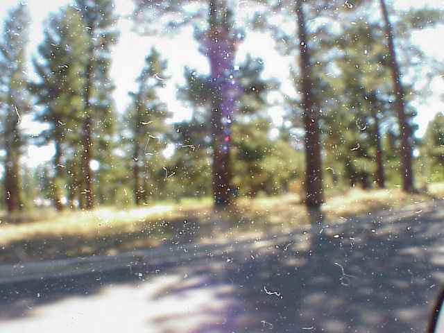 Lot149 Foret Circle Reno, NV 89511 - Photo 1 of 1 Photo 1