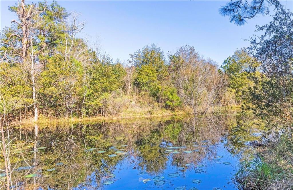 3130 West Houston River Road Sulphur, LA 70663 - Photo 7 of 28 Gallery Image 7