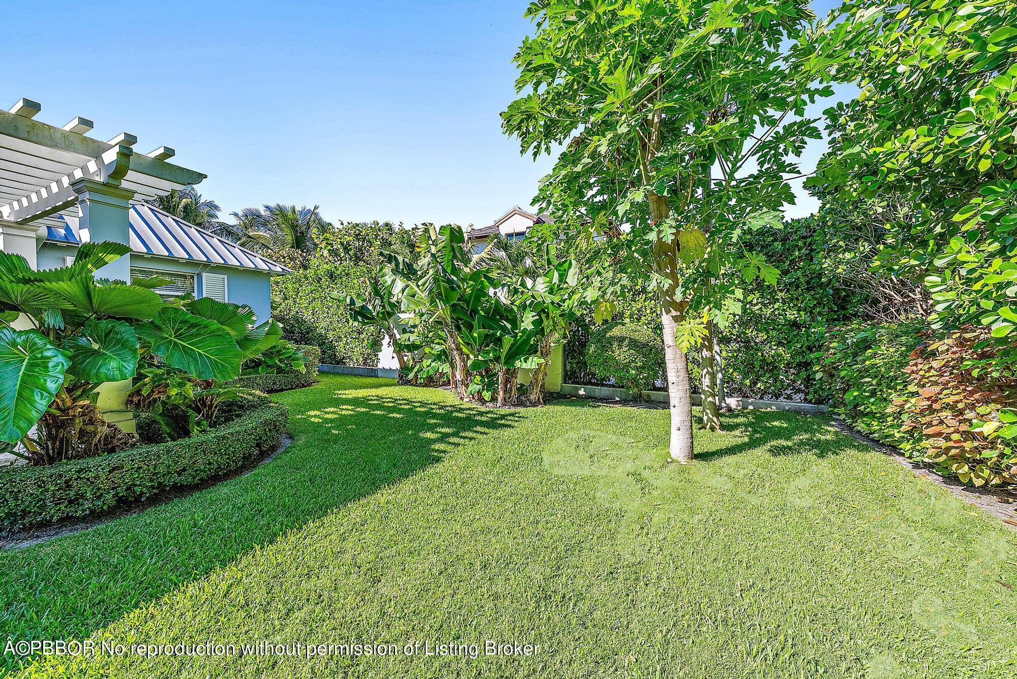 111 Reef Road Palm Beach, FL 33480 - Photo 18 of 28 a view of a tree in a yard