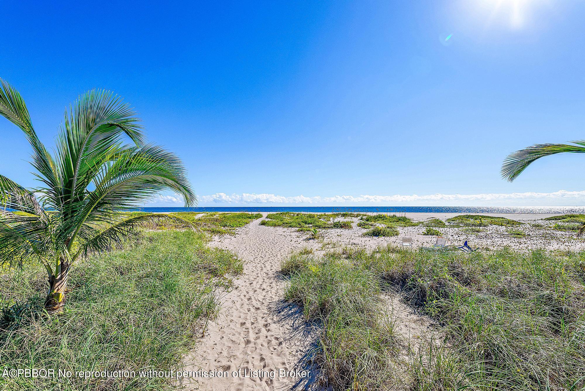 111 Reef Road Palm Beach, FL 33480 - Photo 25 of 28 a view of a lake with a beach