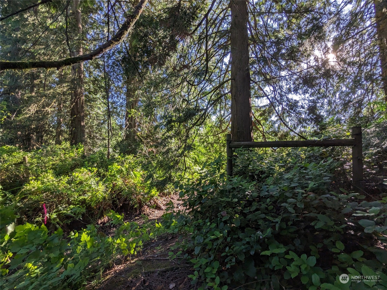 6016 Storm Lake Road Snohomish, WA 98290 - Photo 11 of 13 Gallery Image 11