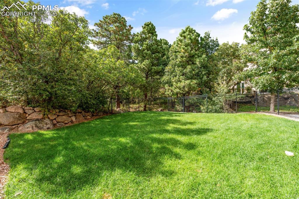 4930 Langdale Way Colorado Springs, CO 80906 - Photo 48 of 49 a view of a yard with a tree