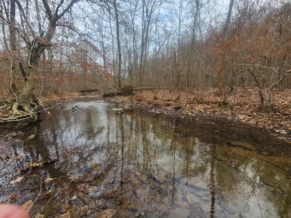 a view of lake covered with large trees
