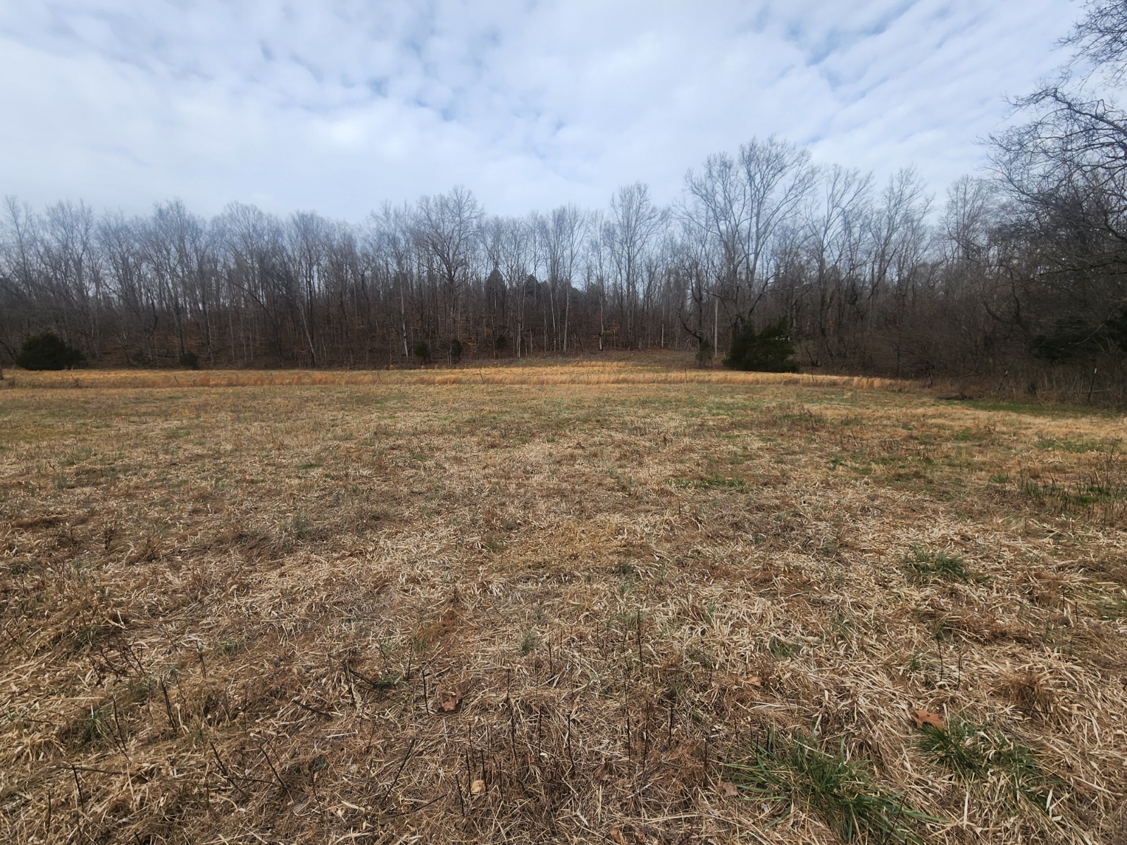 10 Blowing Springs Road Lawrenceburg, TN 38464 - Photo 2 of 9 a view of a yard