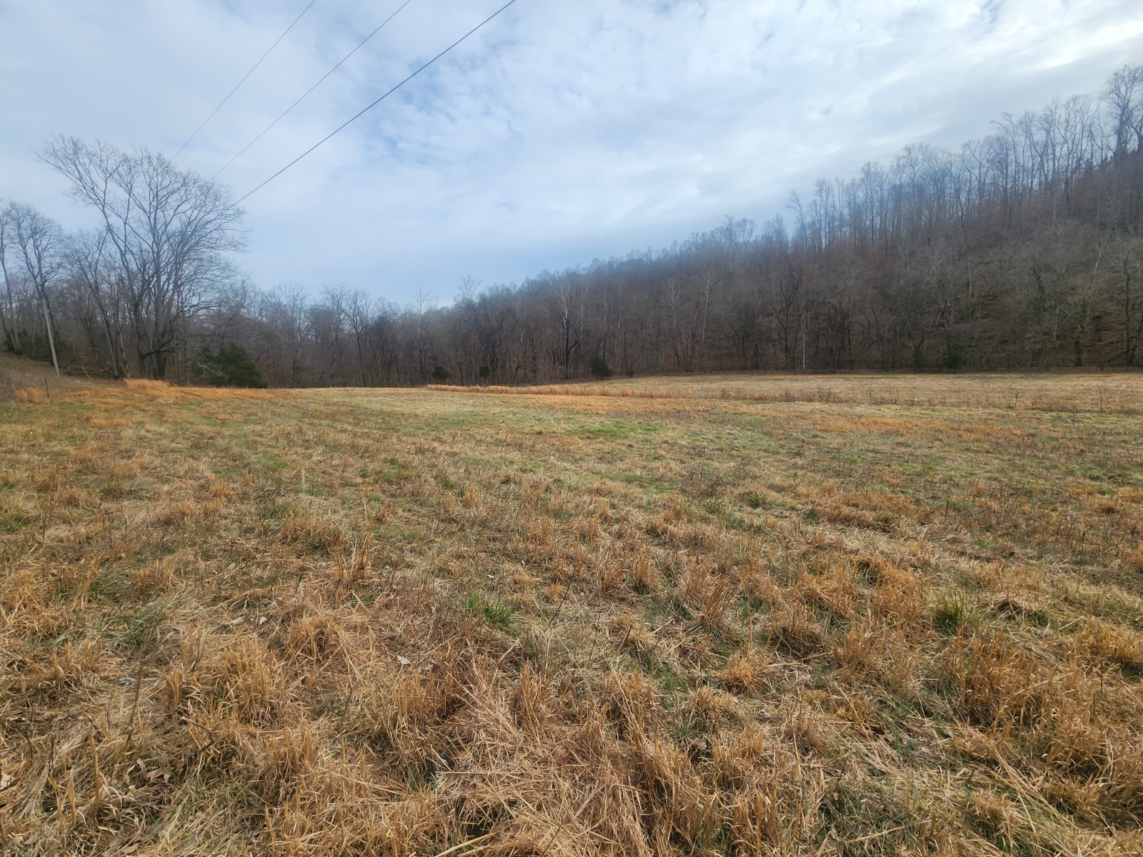 10 Blowing Springs Road Lawrenceburg, TN 38464 - Photo 4 of 9
