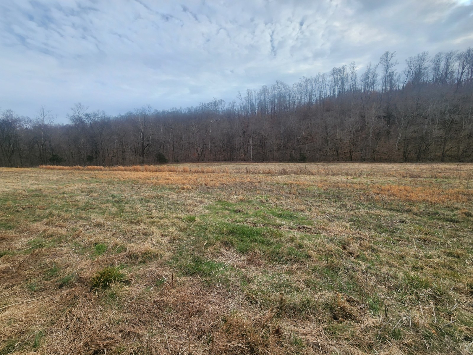 10 Blowing Springs Road Lawrenceburg, TN 38464 - Photo 6 of 9 a view of an ocean