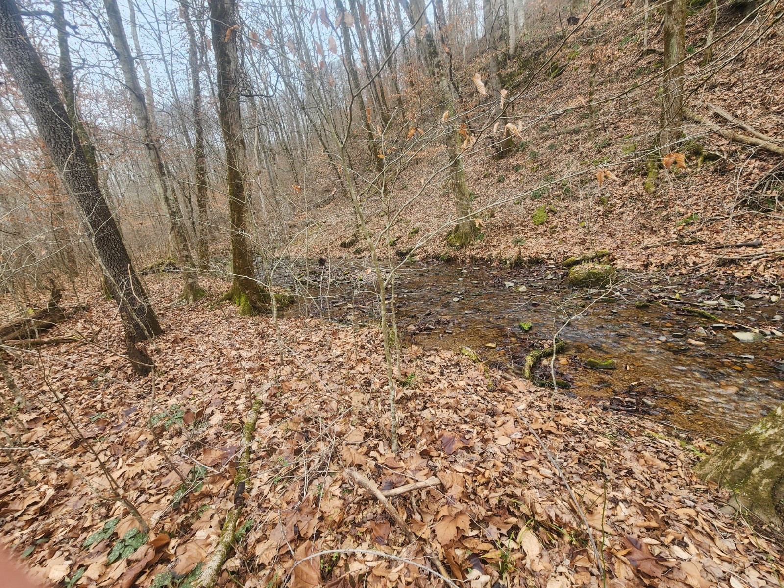 10 Blowing Springs Road Lawrenceburg, TN 38464 - Photo 9 of 9