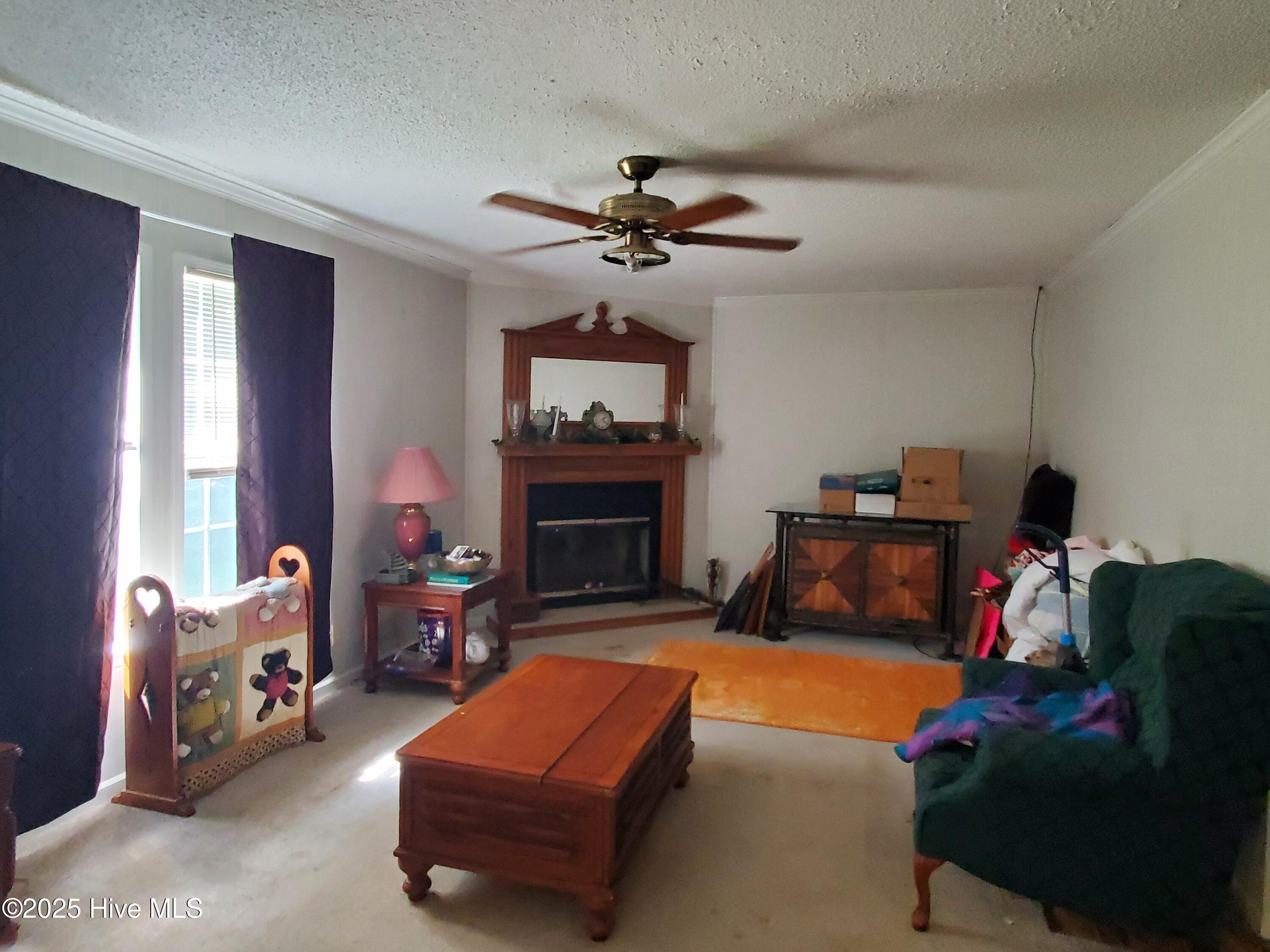 438 Stell Road Bath, NC 27808 - Photo 12 of 22 Family Room