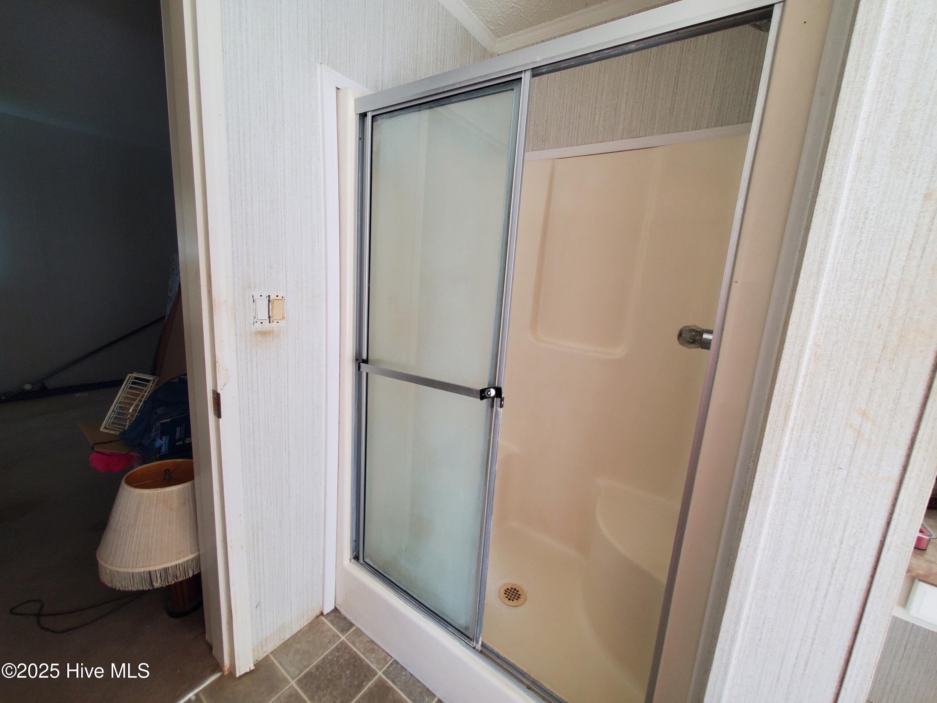 438 Stell Road Bath, NC 27808 - Photo 18 of 22 Primary Shower