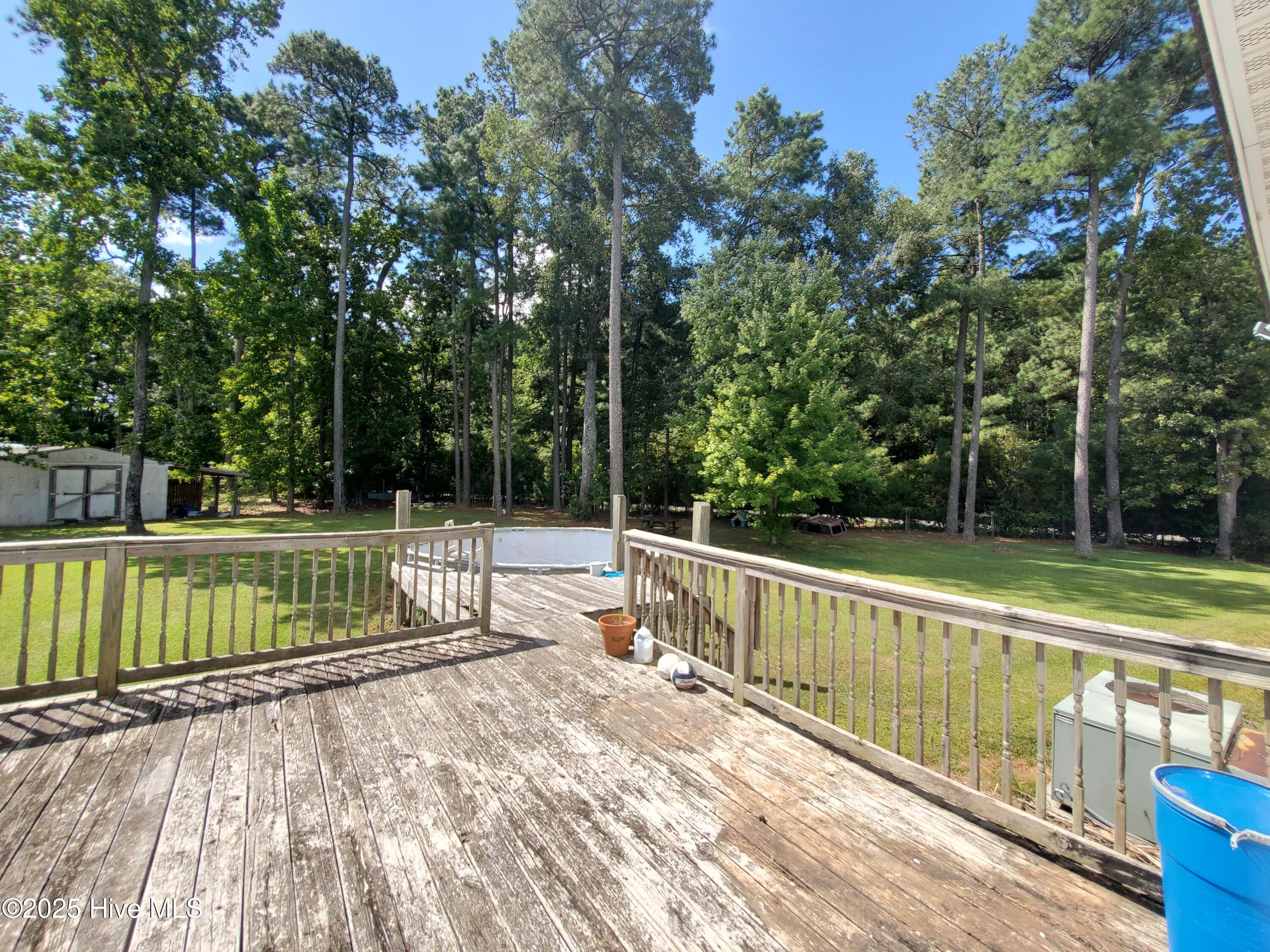438 Stell Road Bath, NC 27808 - Photo 19 of 22 View from Back Door