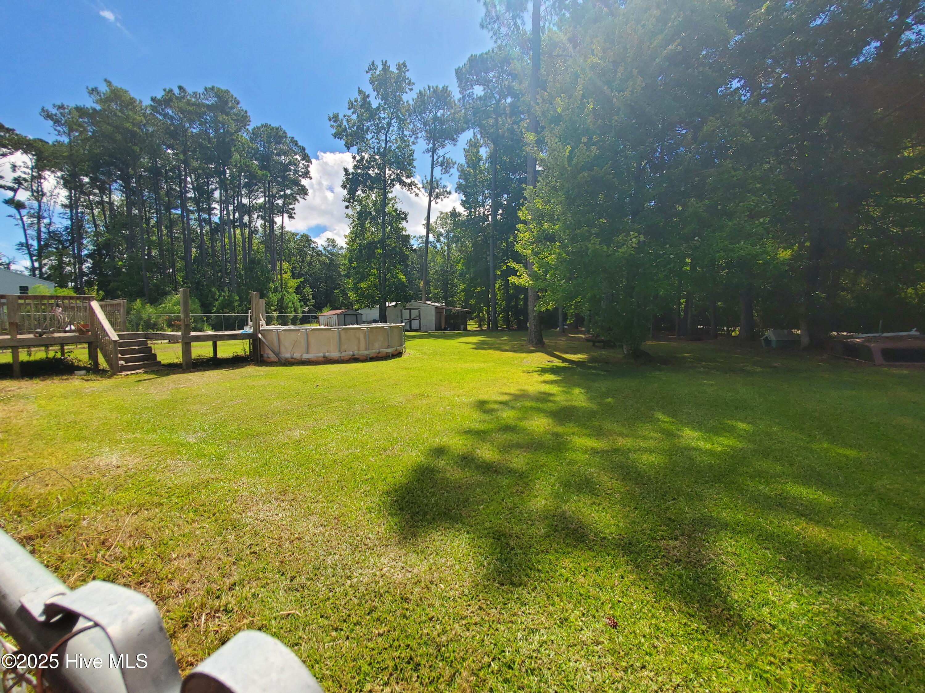 438 Stell Road Bath, NC 27808 - Photo 20 of 22 Back Yard 1
