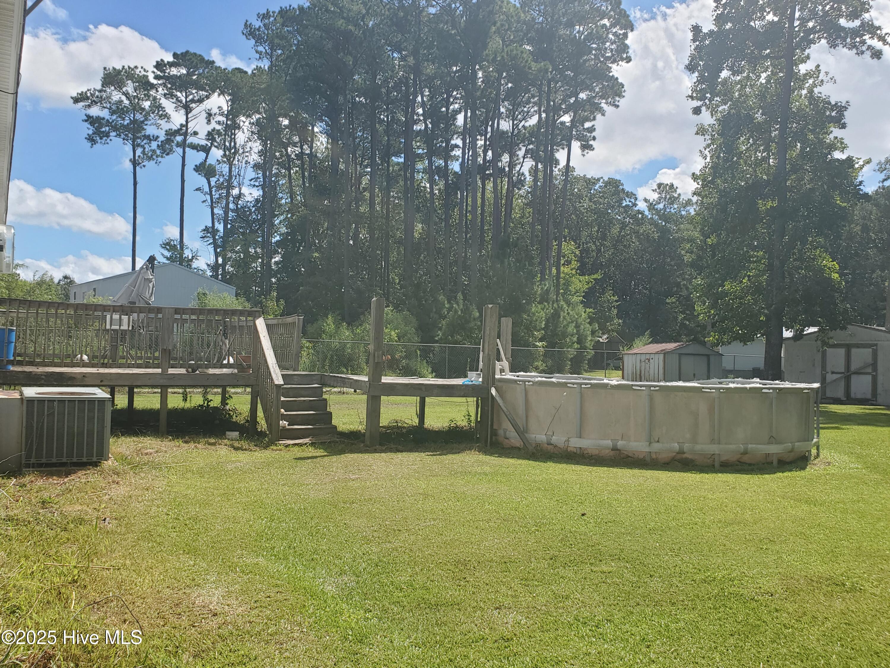 438 Stell Road Bath, NC 27808 - Photo 21 of 22 Back yard 2