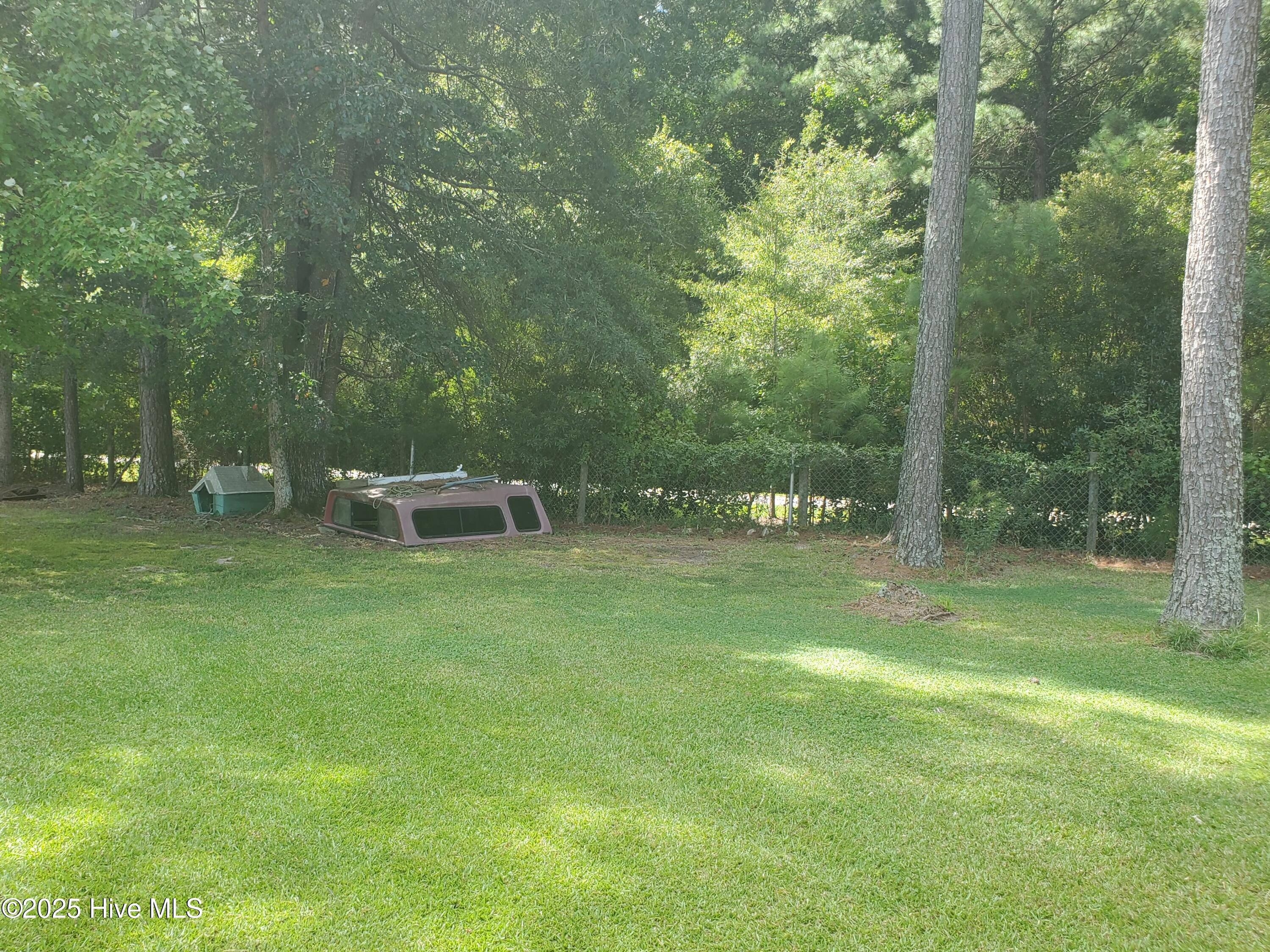 438 Stell Road Bath, NC 27808 - Photo 22 of 22 Back yard 3