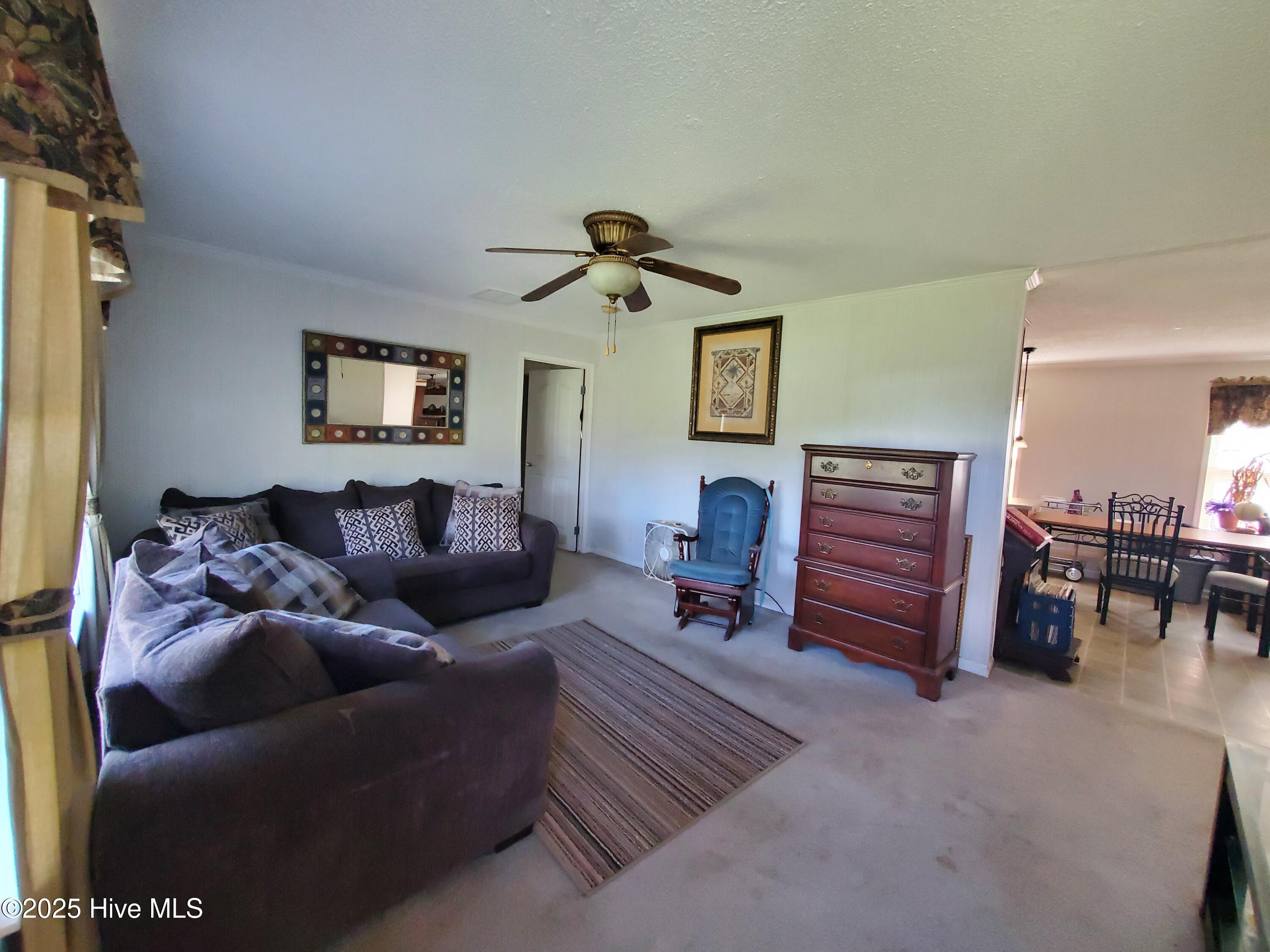438 Stell Road Bath, NC 27808 - Photo 3 of 22 Main entry living room