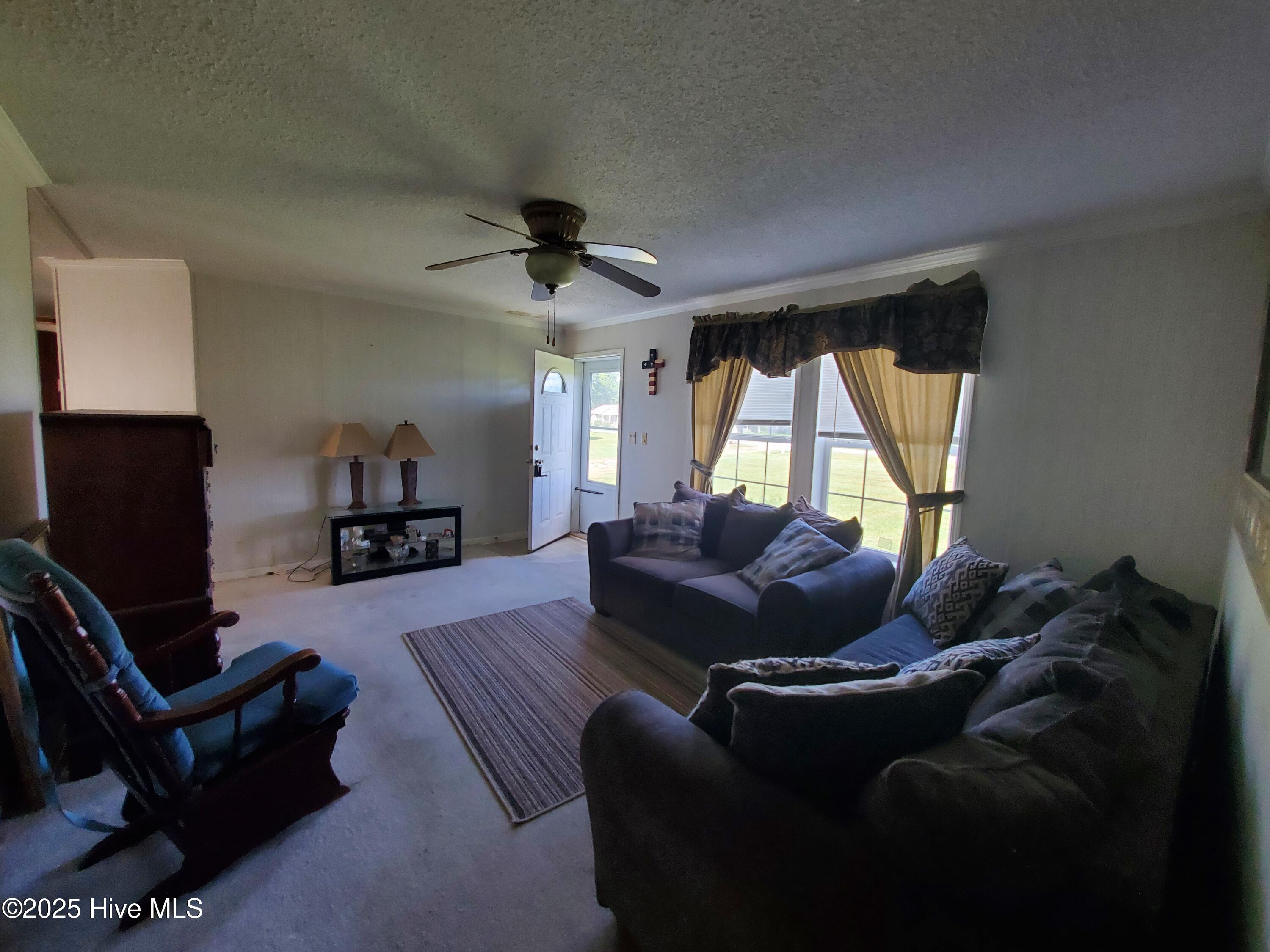 438 Stell Road Bath, NC 27808 - Photo 5 of 22 Main entry 3