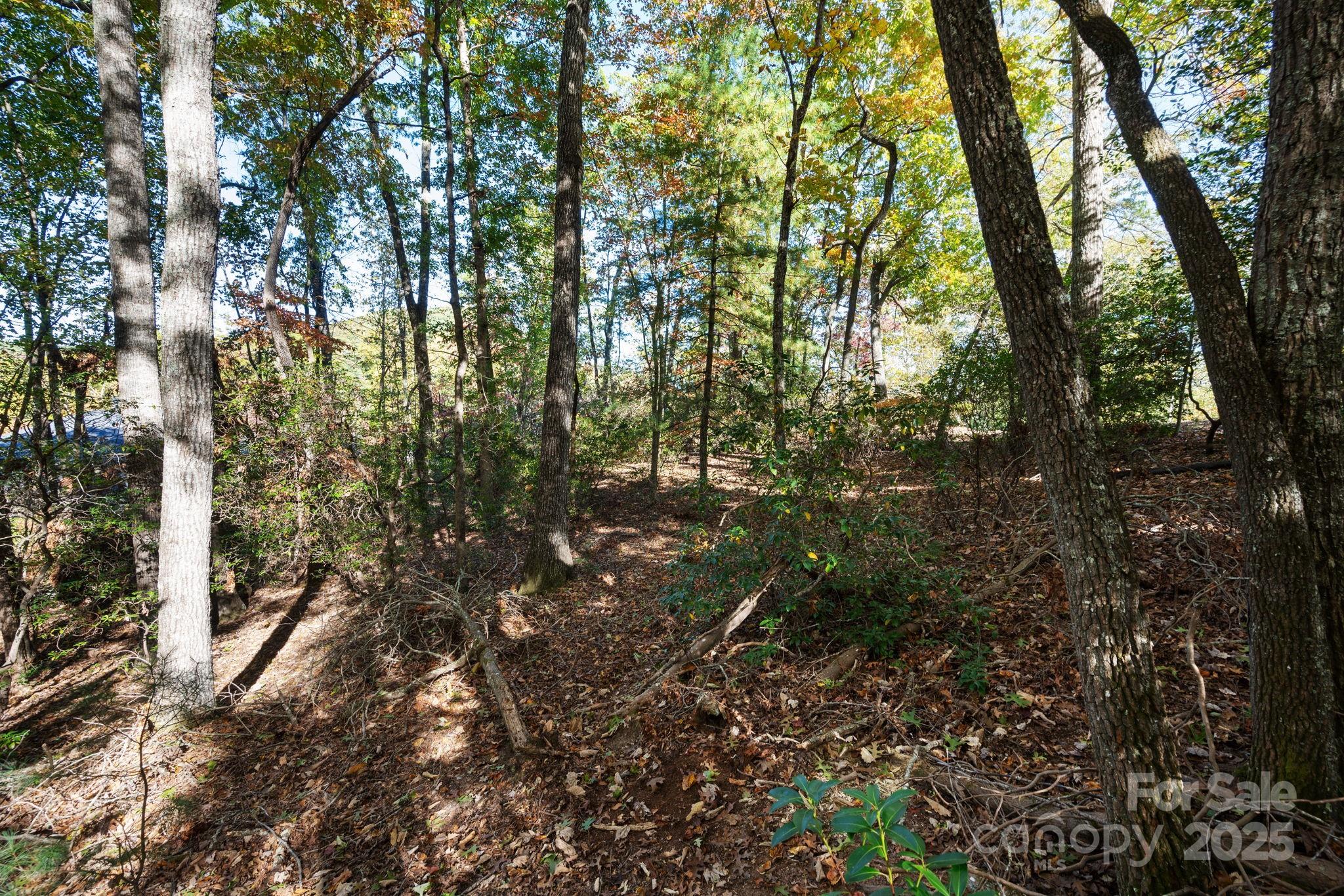 2002 Song Breeze Trail Arden, NC 28704 - Photo 11 of 19 a view of forest