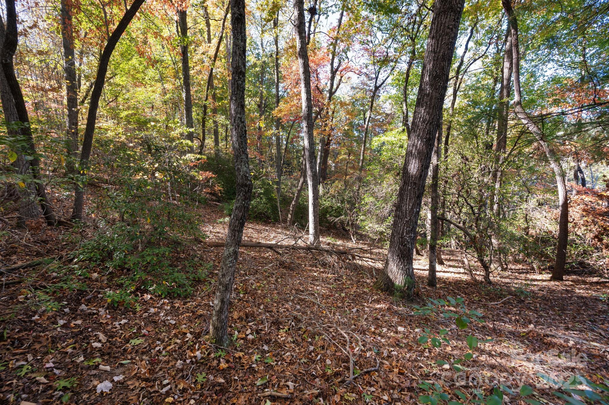 2002 Song Breeze Trail Arden, NC 28704 - Photo 12 of 19 a view of outdoor space and trees