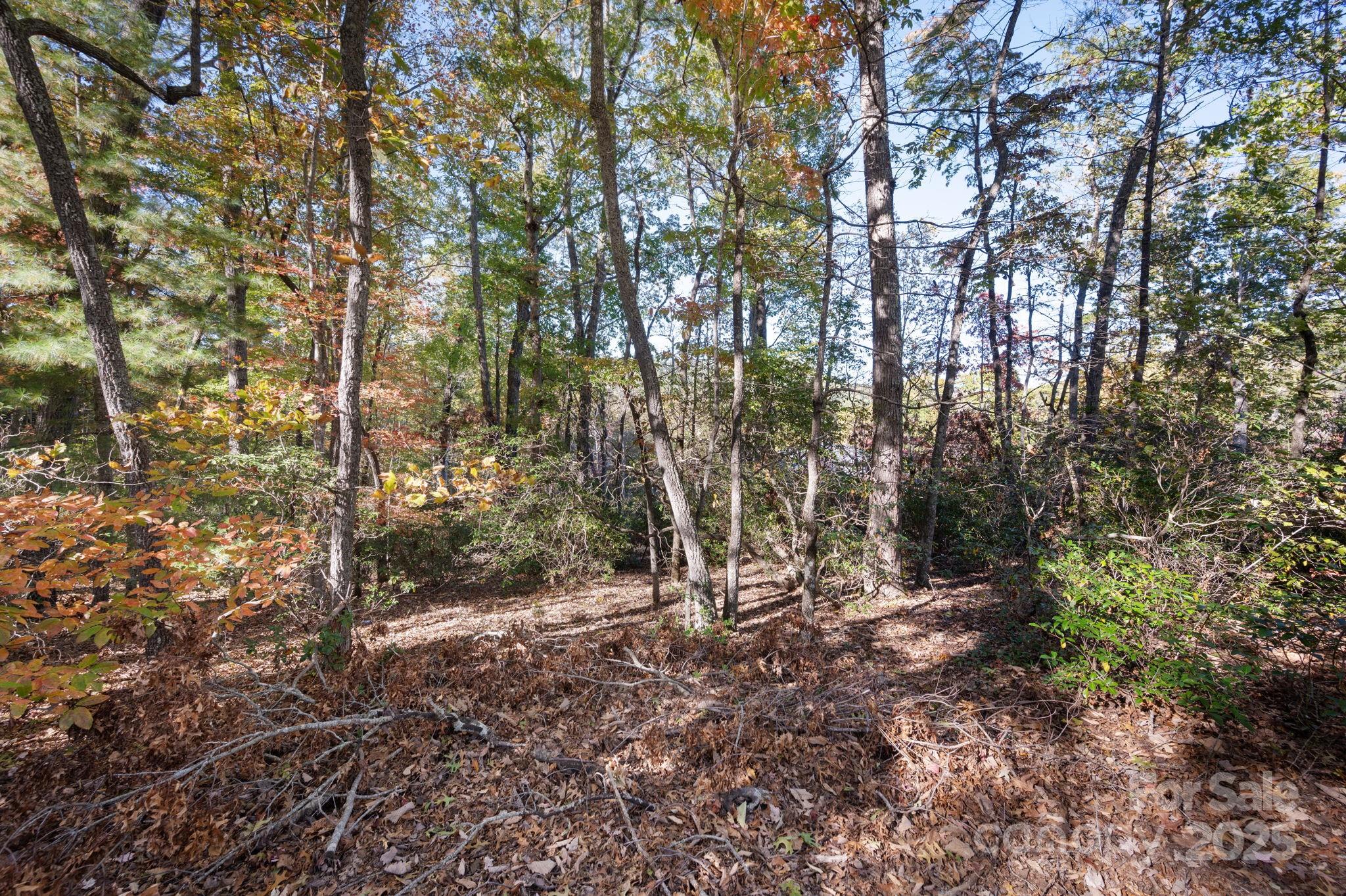 2002 Song Breeze Trail Arden, NC 28704 - Photo 13 of 19 a view of outdoor space and trees