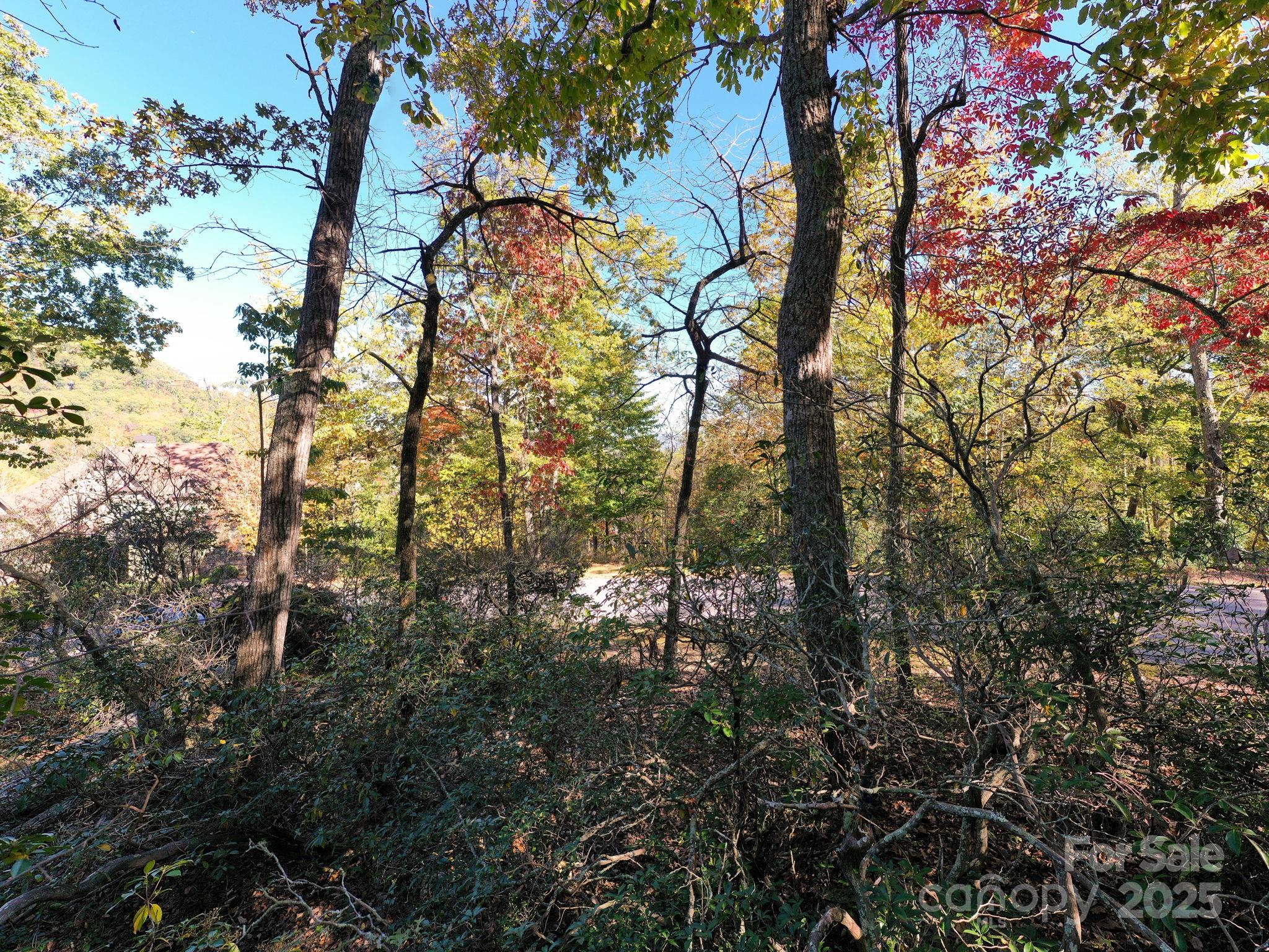 2002 Song Breeze Trail Arden, NC 28704 - Photo 14 of 19 a view of tree