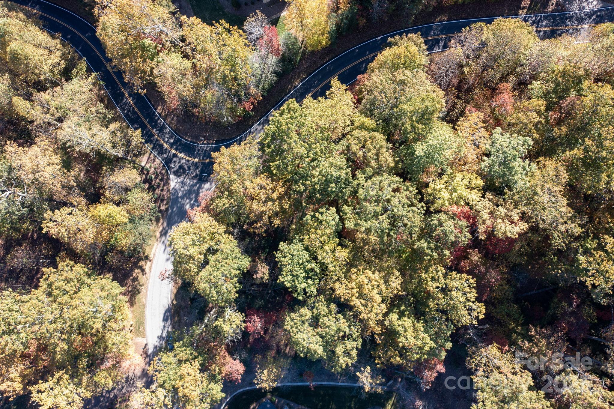 2002 Song Breeze Trail Arden, NC 28704 - Photo 5 of 19