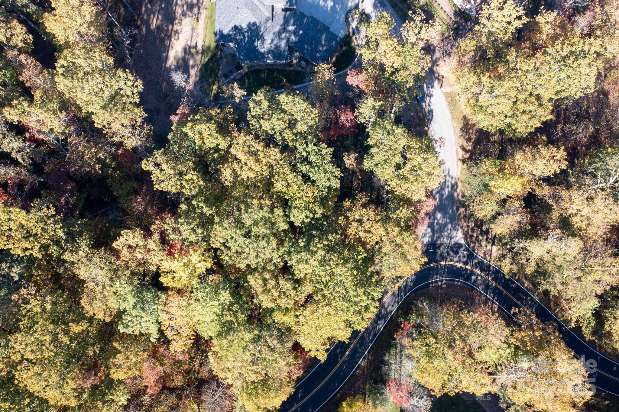 2002 Song Breeze Trail Arden, NC 28704 - Photo 6 of 19