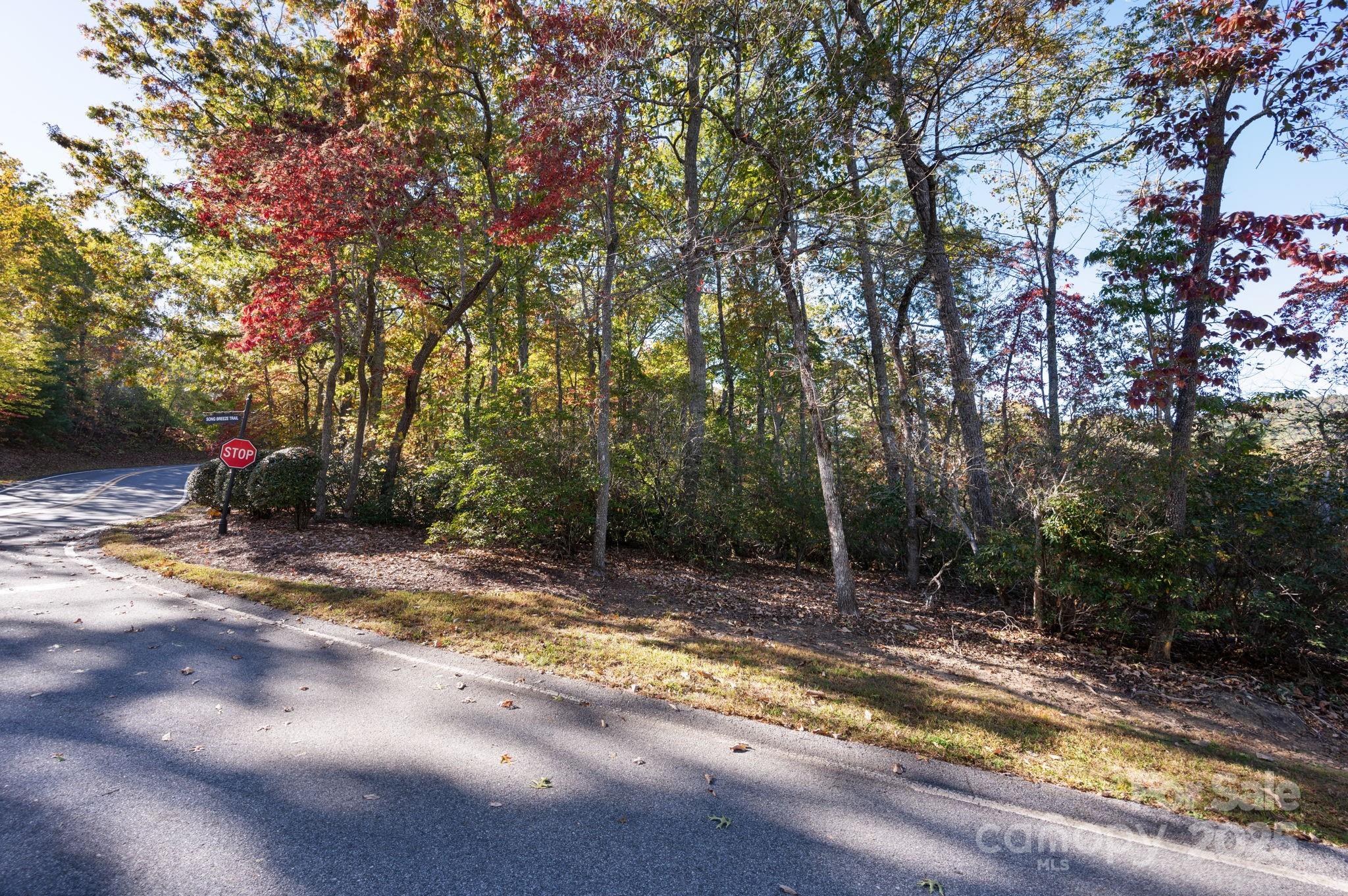 2002 Song Breeze Trail Arden, NC 28704 - Photo 7 of 19 a view of a yard with a tree