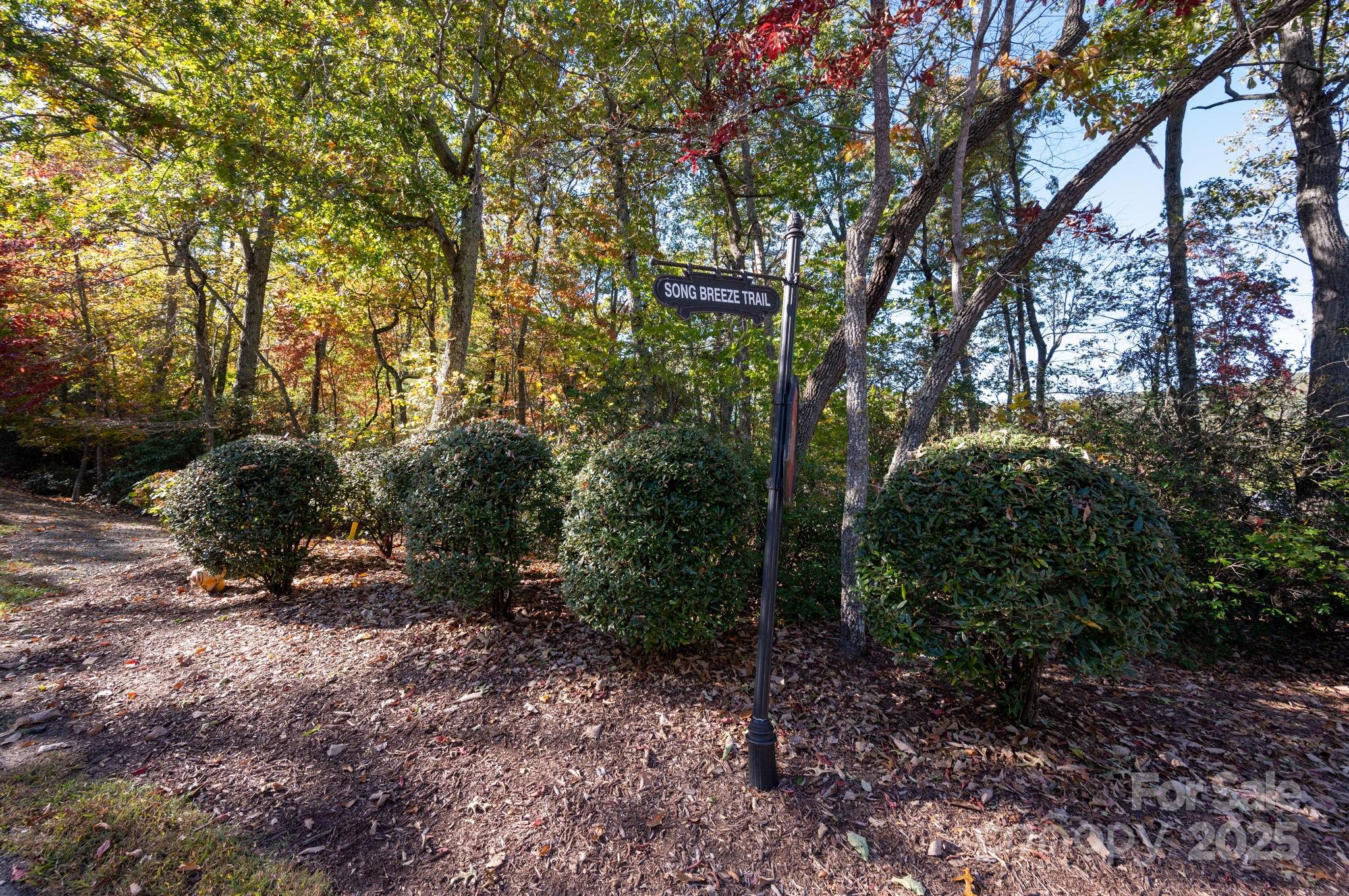 2002 Song Breeze Trail Arden, NC 28704 - Photo 8 of 19 a view of a forest that has large trees