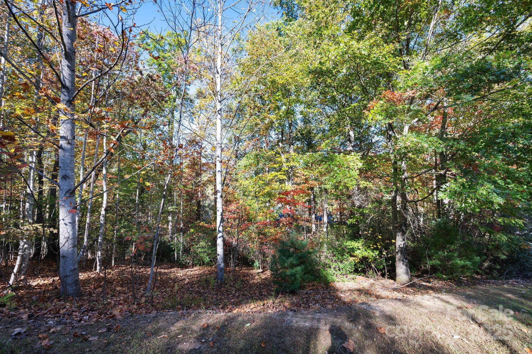 2002 Song Breeze Trail Arden, NC 28704 - Photo 10 of 19 a view of an outdoor space with yard