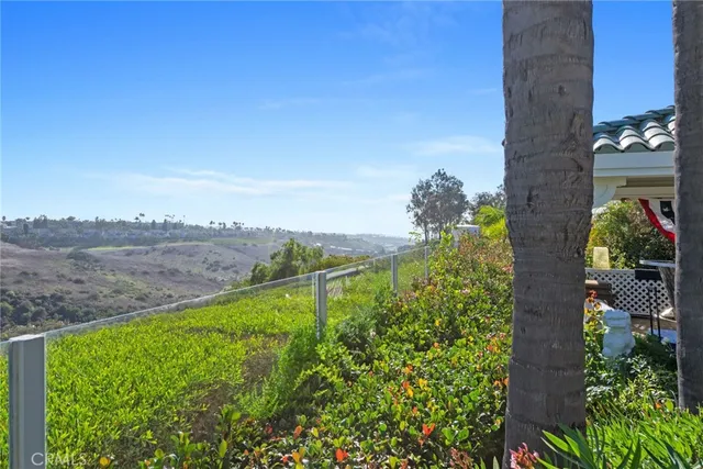 a view of a garden with plants and large trees