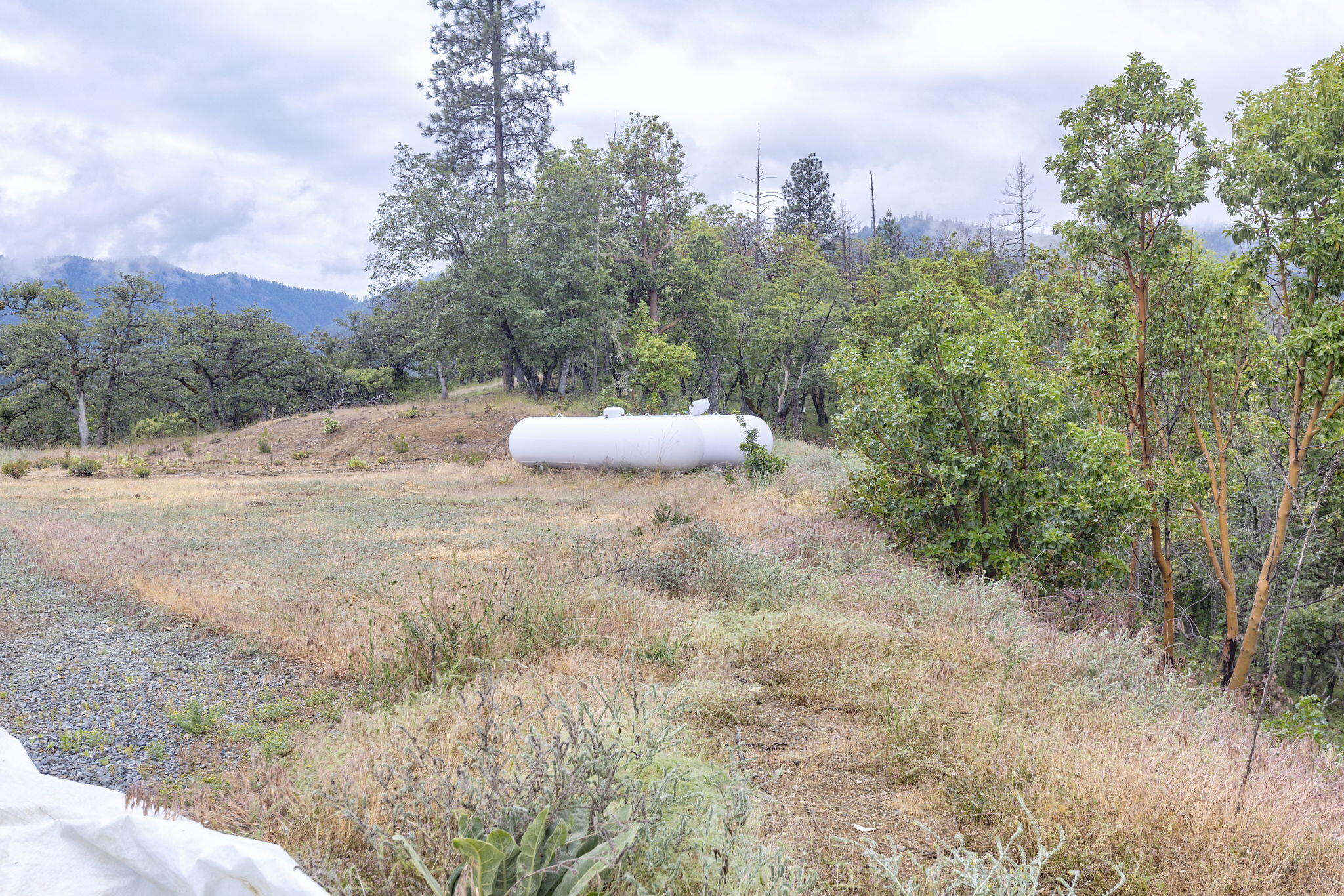 9595 Sterling Creek Road Jacksonville, OR 97530 - Photo 51 of 76 a view of a dry yard with trees and bushes
