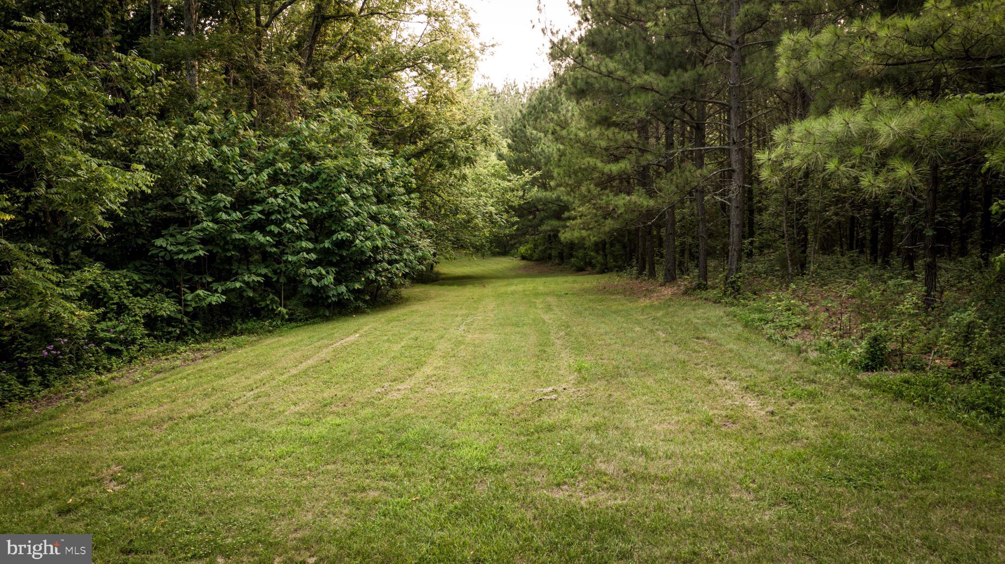 22144 Monrovia Road Orange, VA 22960 - Photo 73 of 94 a view of outdoor space and a yard