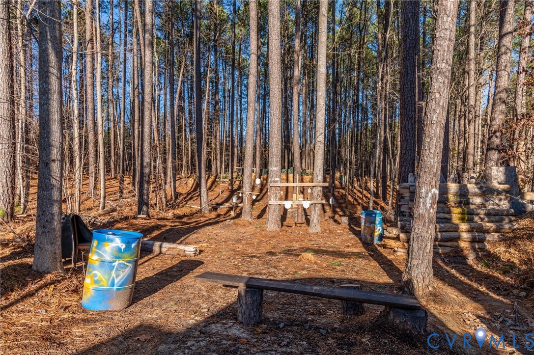 15330 Wilkinson Road Dinwiddie, VA 23841 - Photo 30 of 43