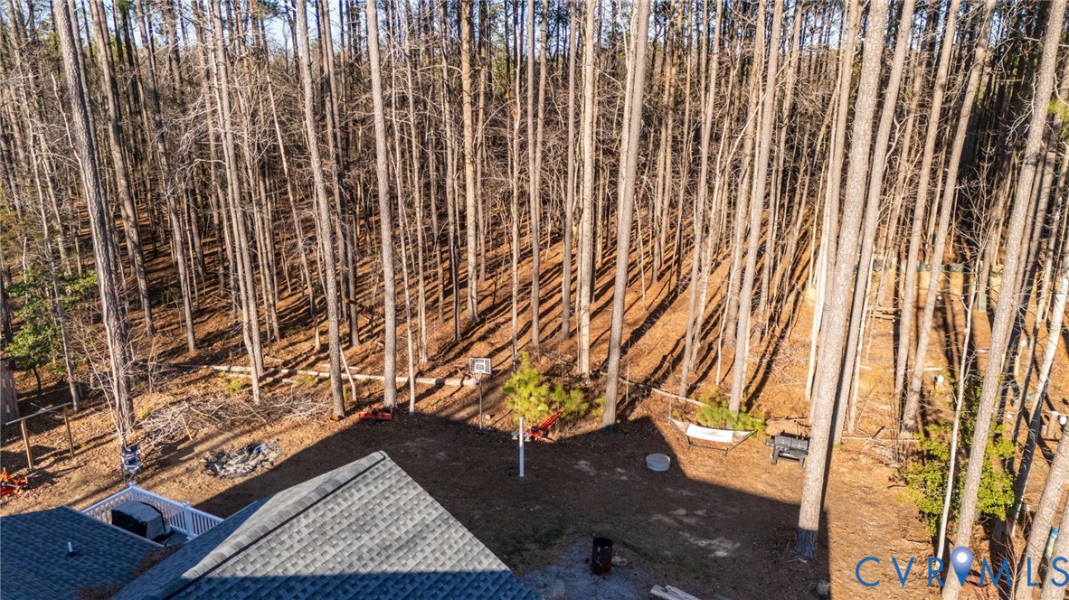 15330 Wilkinson Road Dinwiddie, VA 23841 - Photo 38 of 43