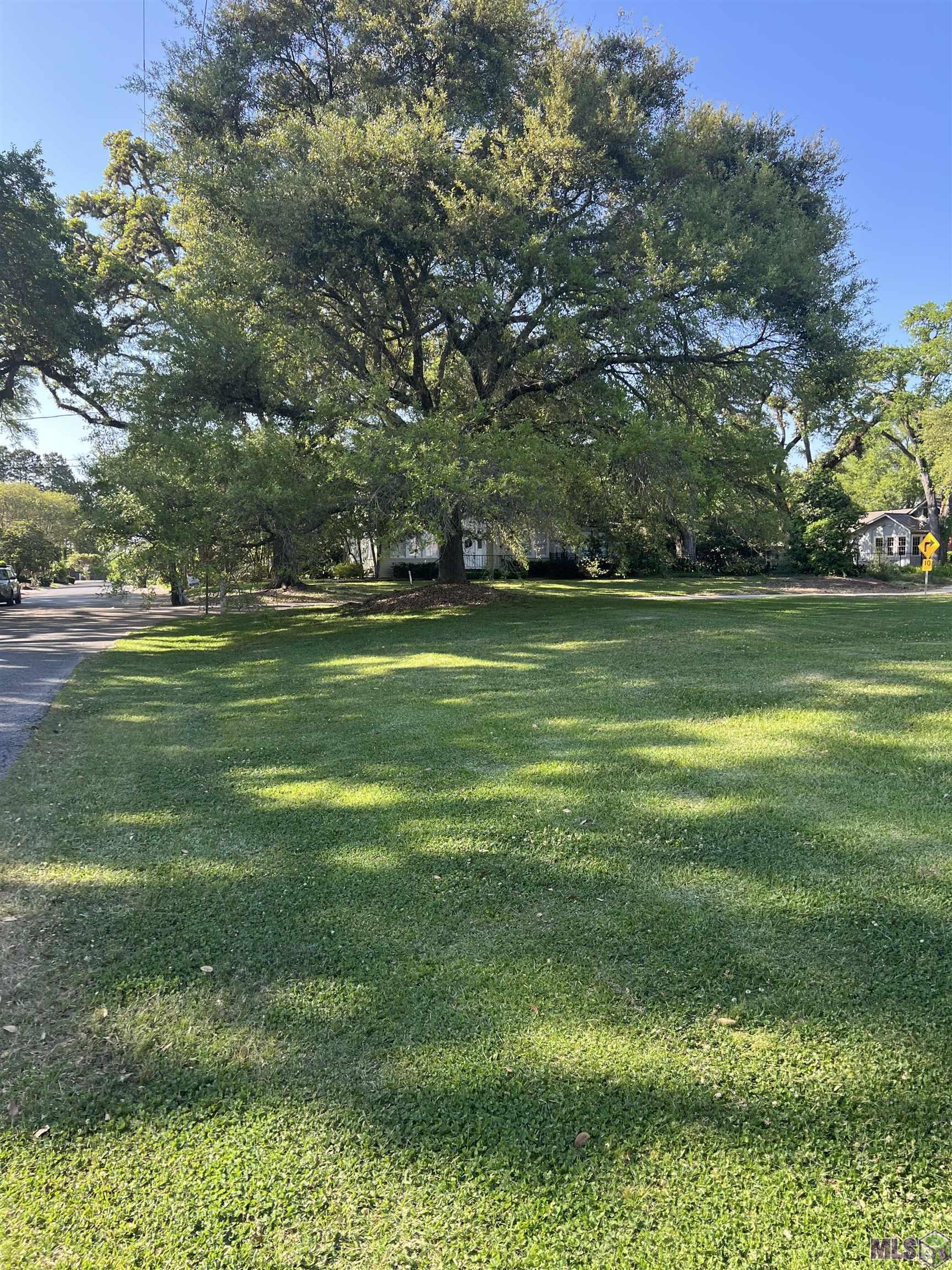 502 LSU Avenue Baton Rouge, LA 70808 - Photo 4 of 5