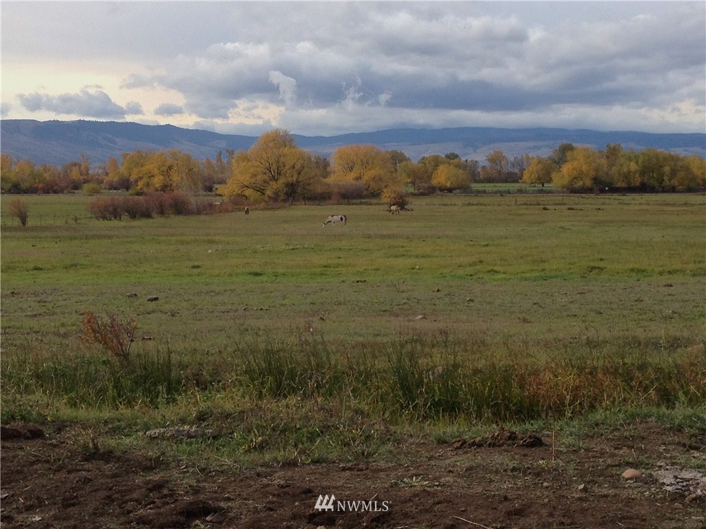 2-xxx Watson Road Ellensburg, WA 98926 - Photo 5 of 6 Gallery Image 5