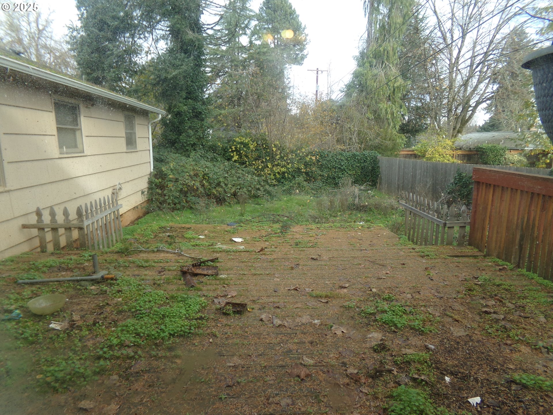 297 Arlene Avenue Southeast Salem, OR 97302 - Photo 16 of 16 a view of a backyard