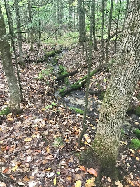 31 Romans Road New Gloucester, ME 04260 - Photo 5 of 8 Stream