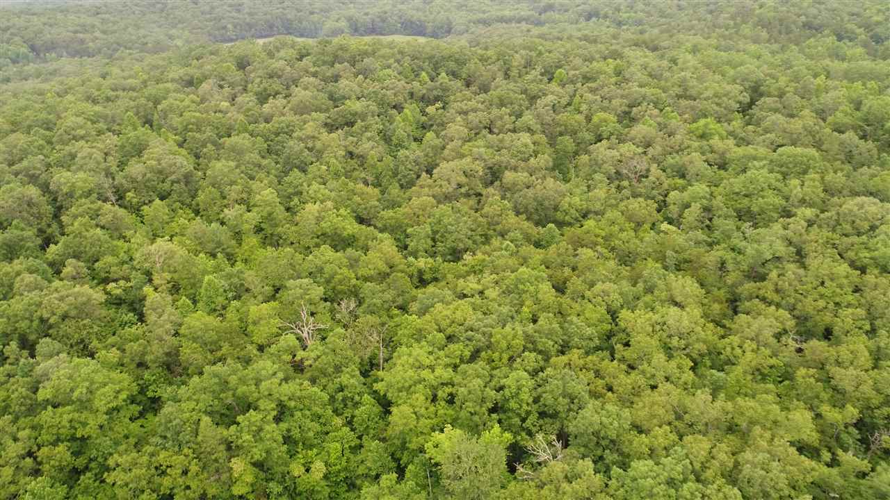 0 Laurel Ridge Drive Pickens, SC 29671 - Photo 3 of 15 Gallery Image 3