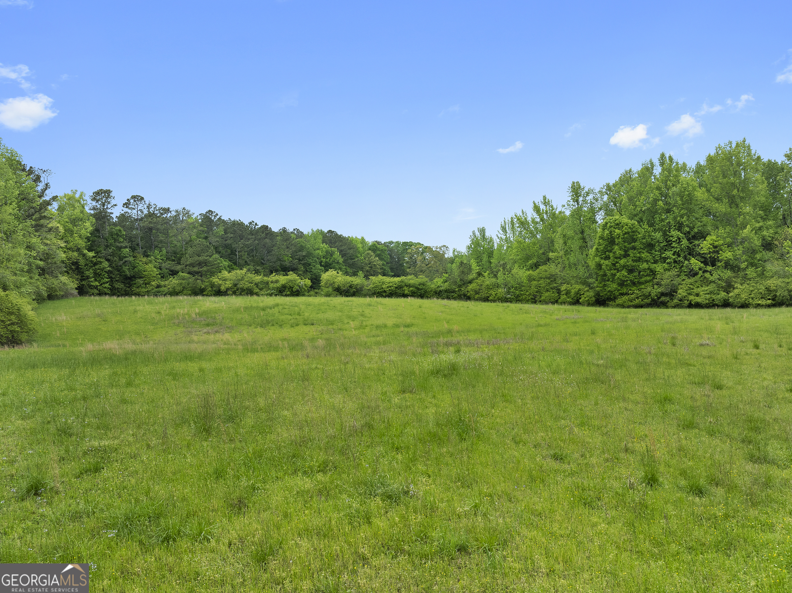 7357 Ono Road Palmetto, GA 30268 - Photo 11 of 15 a view of a grassy field with trees