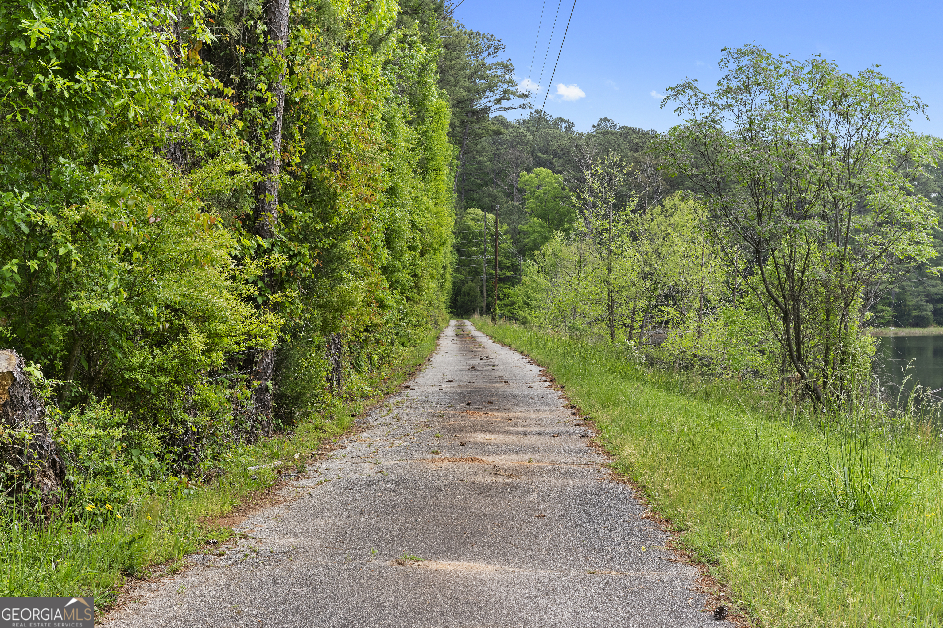 7357 Ono Road Palmetto, GA 30268 - Photo 12 of 15 a view of a pathway of a garden
