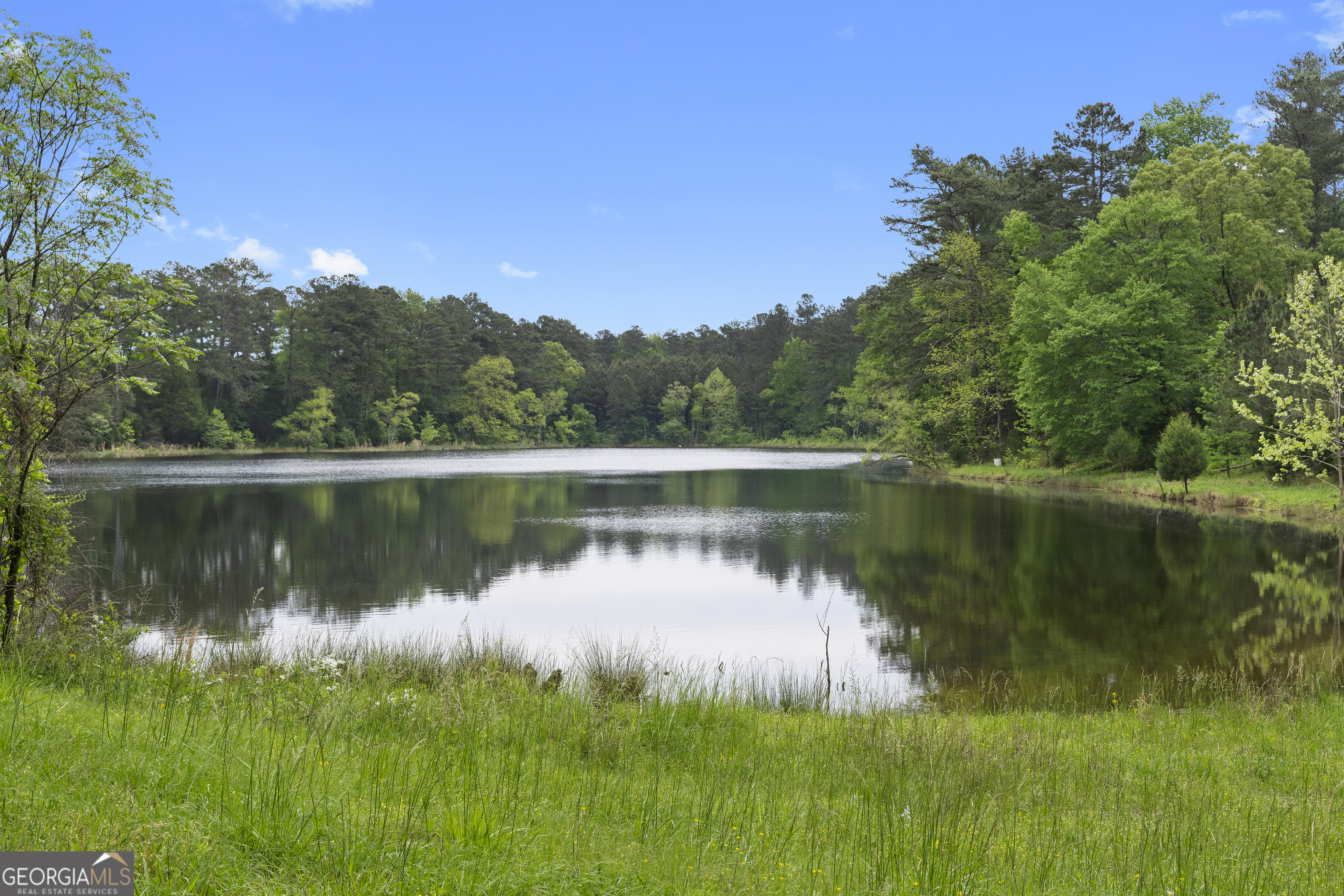 7357 Ono Road Palmetto, GA 30268 - Photo 13 of 15 a view of a lake