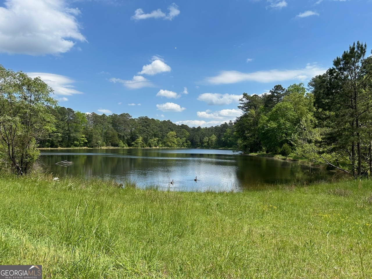 7357 Ono Road Palmetto, GA 30268 - Photo 15 of 15 a view of a lake in middle of a forest