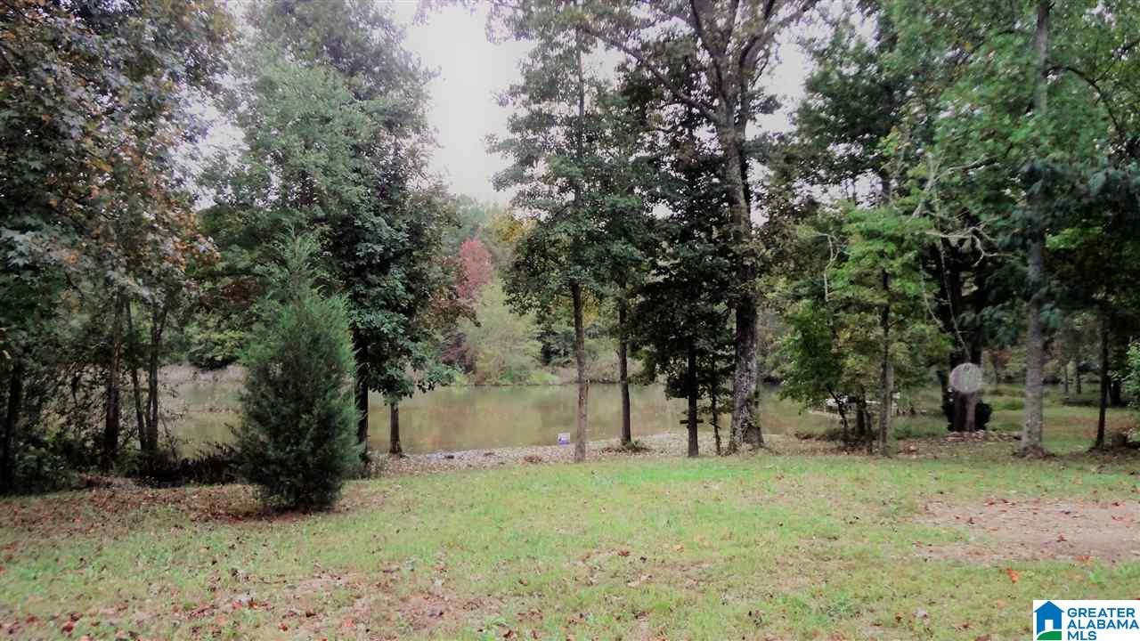 Lot #7 Lost Creek Cove Road, Unit 7 Delta, AL 36258 - Photo 12 of 14