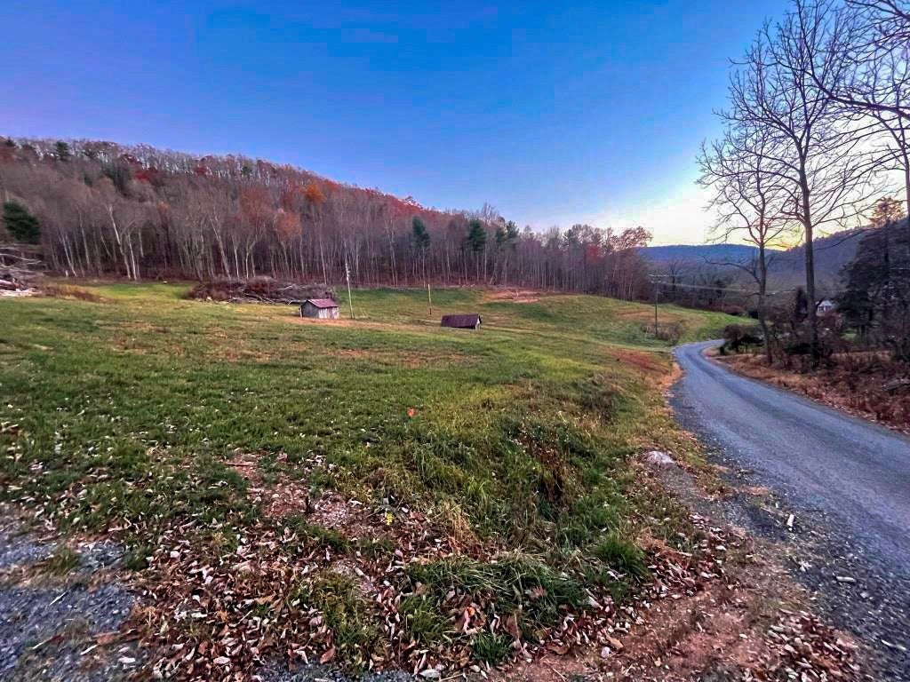 2549 Loafers Rest Road Austinville, VA 24312 - Photo 50 of 57 Gallery Image 50