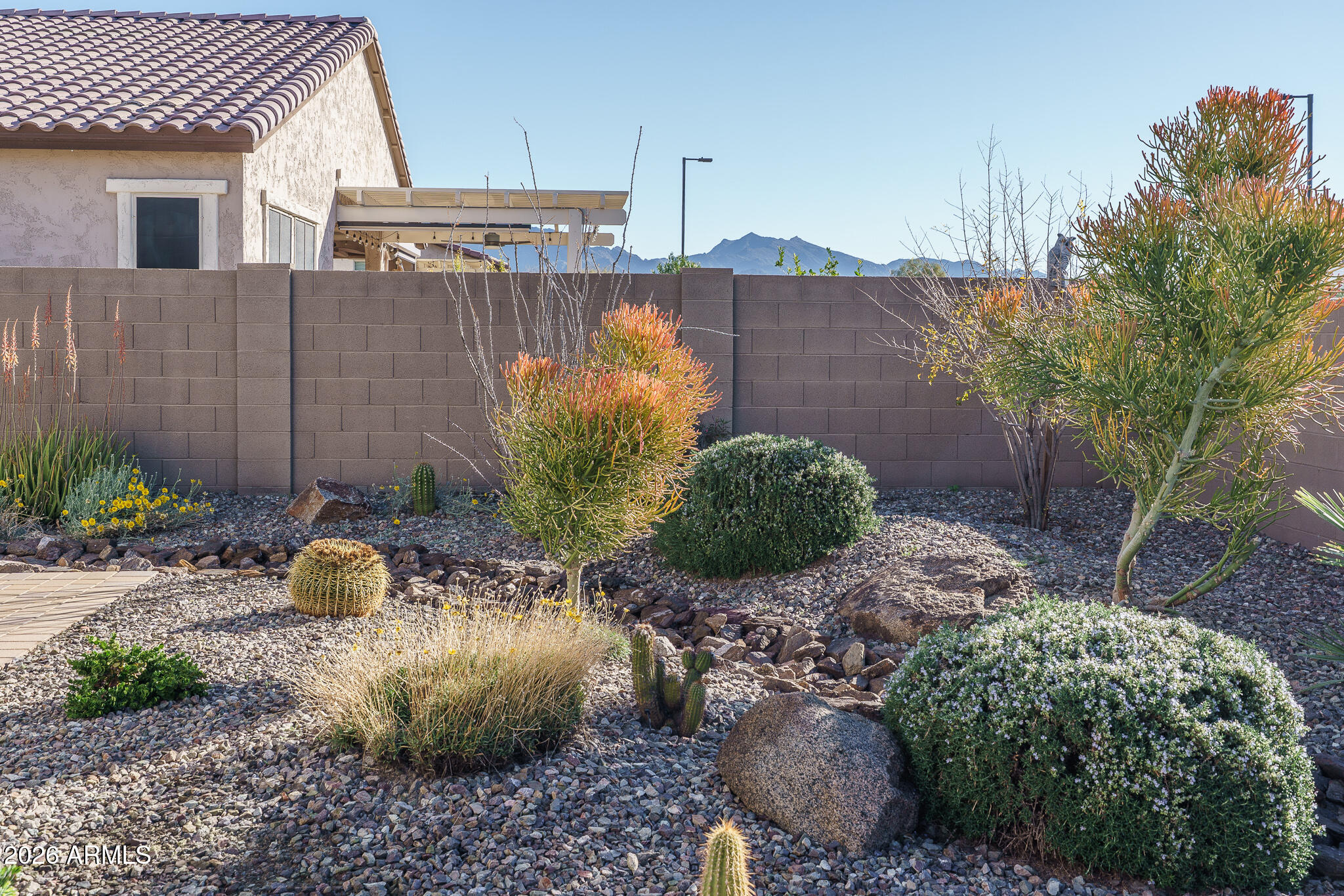 18127 West Fairview Street Goodyear, AZ 85338 - Photo 23 of 48 a view of a backyard with plants and a bench