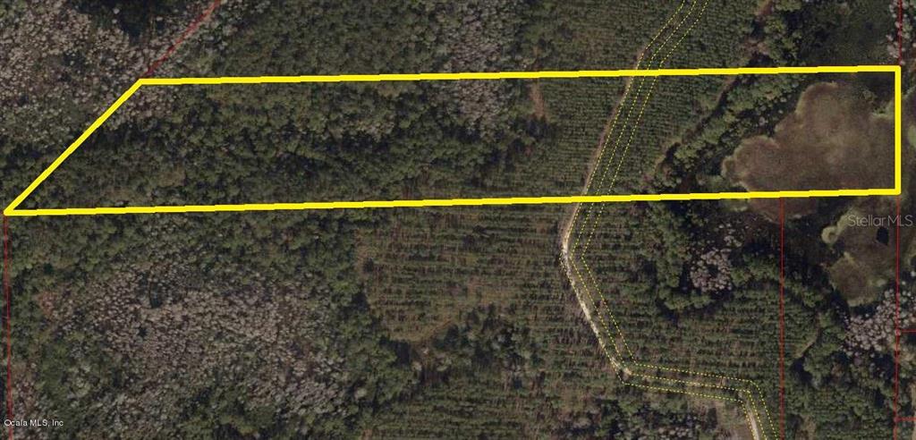 Tbd Northeast Tbd Ne Campbell Road Bronson, FL 32621 - Photo 1 of 1 002