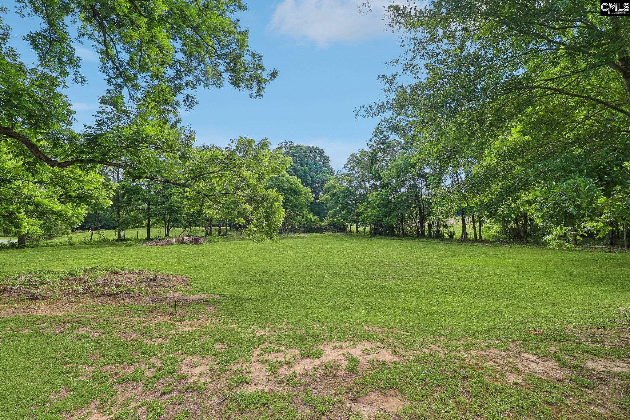 274 State Rd S-36-61 Pomaria, SC 29126 - Photo 49 of 59