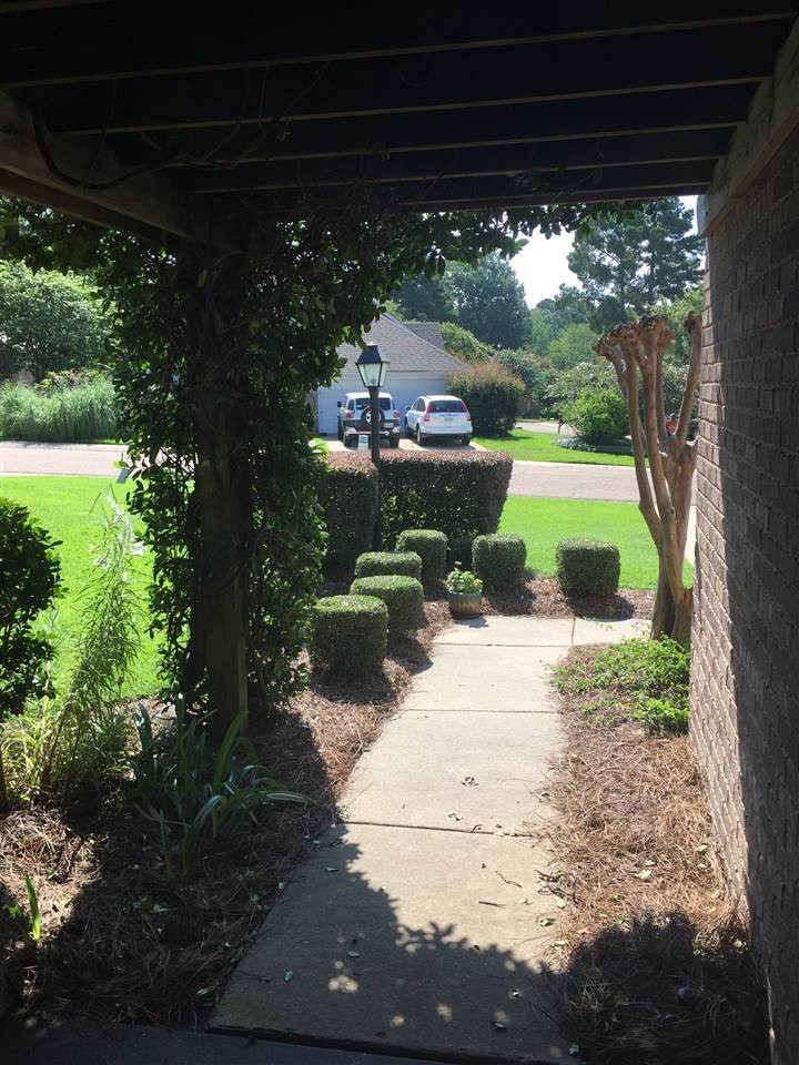 175 Commonwealth Avenue Brandon, MS 39047 - Photo 3 of 25 Photo 3