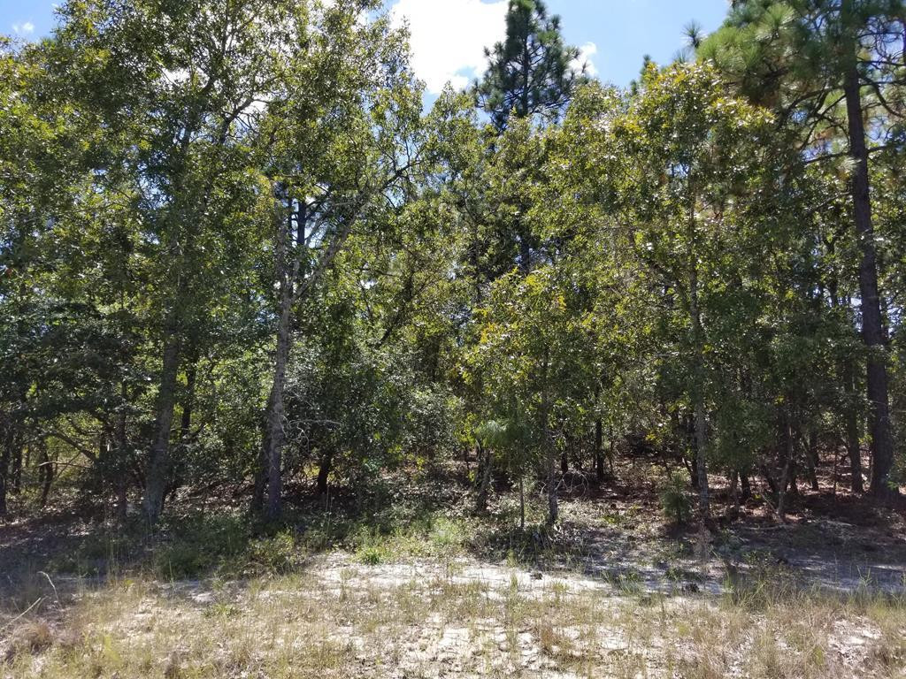 Lot 11 Colbert Bridge Road Windsor, SC 29856 - Photo 1 of 6